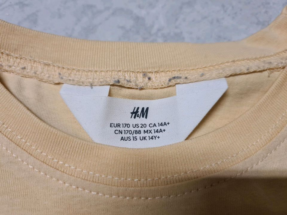 H&M T-shirt 170 in Nürnberg (Mittelfr)