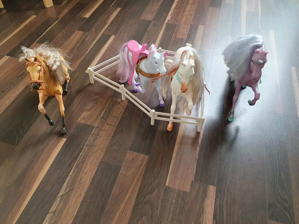 Barbie Pferde und Einhörner in Heidelberg