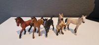 Schleich Fohlen & bayala Fohlen Sachsen - Glashütte Vorschau