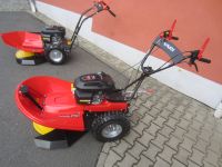 VARI Rotationsmäher BDR-720D Adela Pro Honda Servicegarantie Sachsen - Glashütte Vorschau