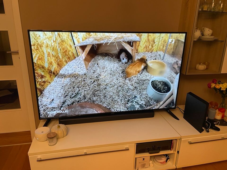 XIAOMI MI TV P1E 65 Televisor (Flat, 65 Zoll / 165,1 cm, UHD 4K in Heidenau