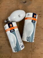 Osram HQL 125w Quecksilberdampf Hochdrucklampe Friedrichshain-Kreuzberg - Friedrichshain Vorschau