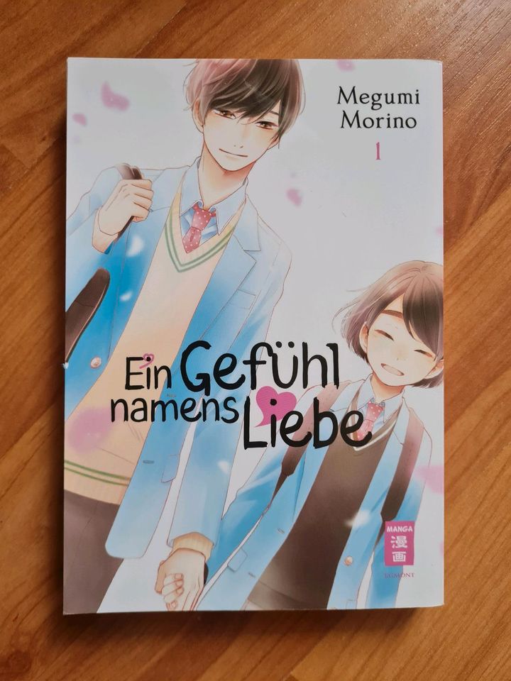 Romance manga in Dresden