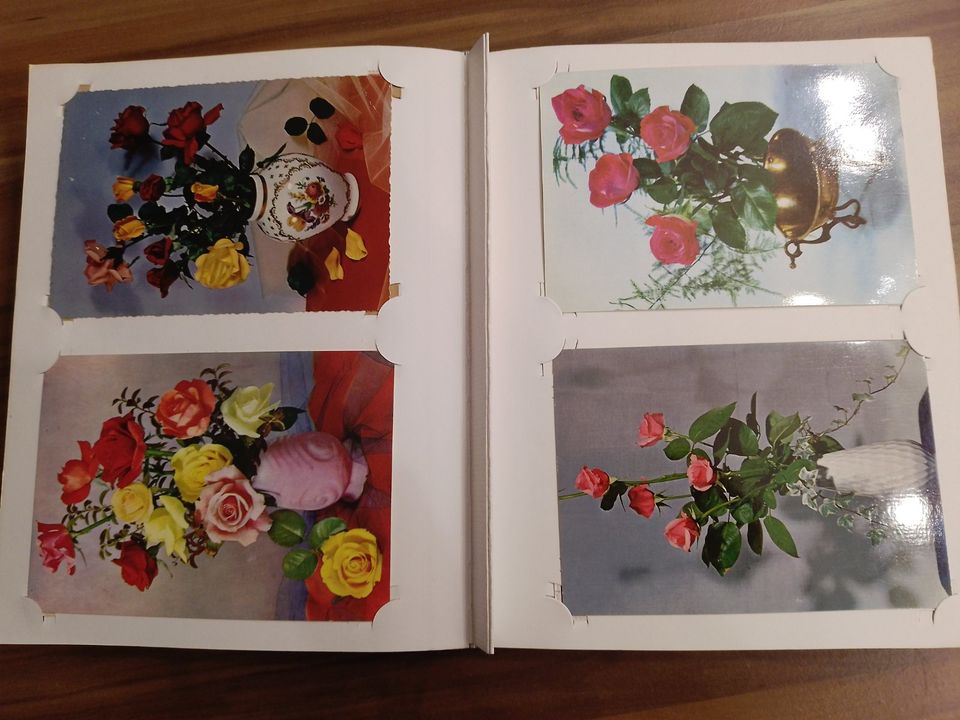 Postkarten Rosen im Album in Schildau