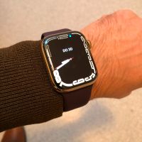 Apple Watch 7 Cellular 4G 45mm LTE GPSEdelstahl Sportarmband Gold Sachsen - Radeberg Vorschau