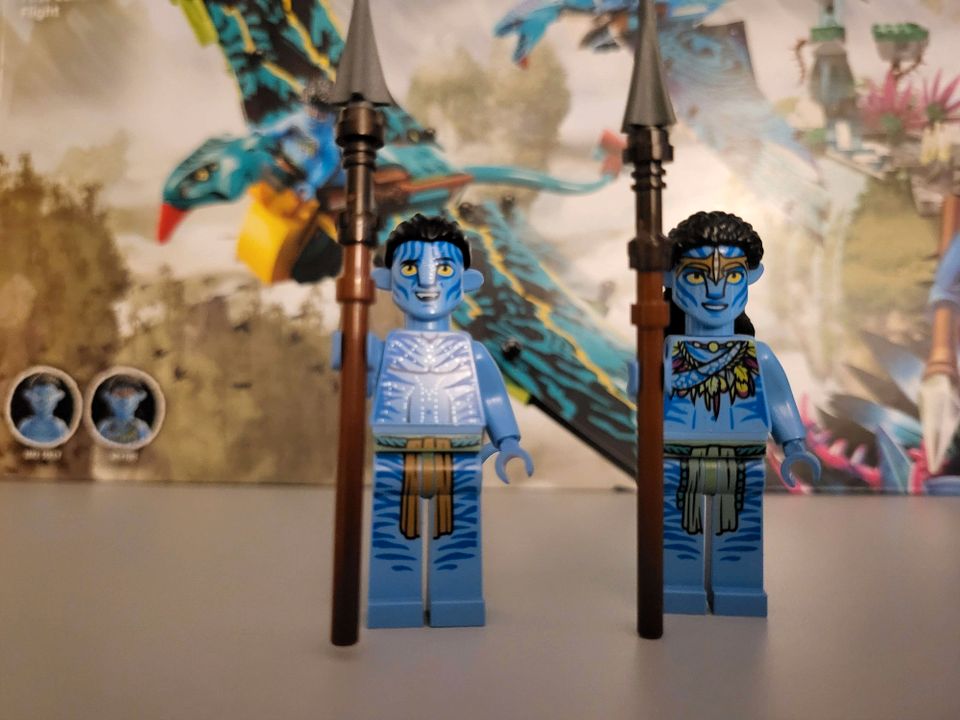 LEGO Avatar: Jakes und Neytiris erster Flug auf einem Banshee (75 in Tübingen