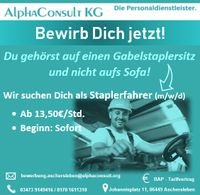 ⚡ Staplerfahrer (m/w/d) für Staßfurt ⚡ Sachsen-Anhalt - Staßfurt Vorschau