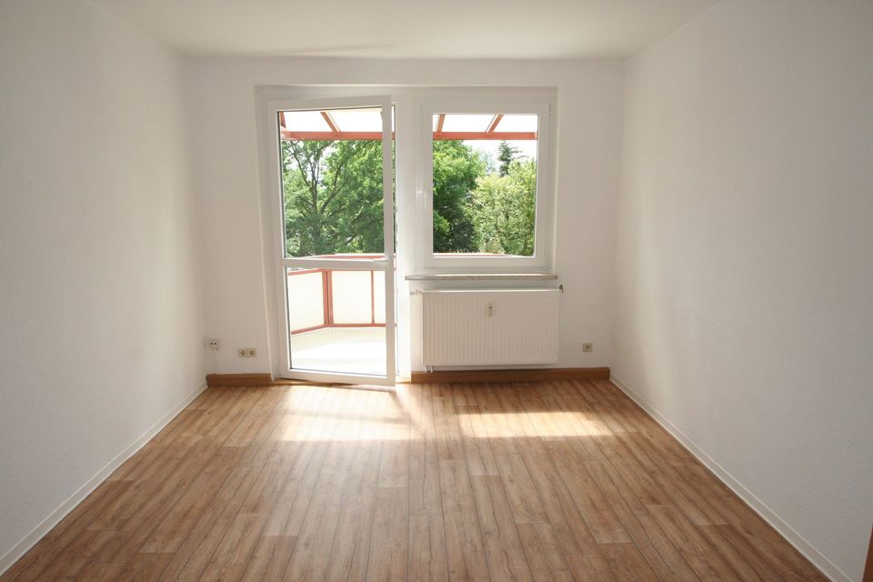 SINGLE-Wohnung in Siedlungslage mit sonnigem Balkon!! in Hohenstein-Ernstthal