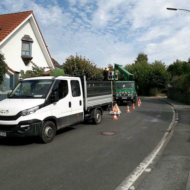 Baumpflege Baumfällung Baumkontrollen Baumarbeiten Wurzelfräsen in Wuppertal