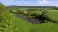 Fischteiche zu verpachten Hessen - Knüllwald Vorschau