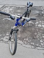 Longus Fahrrad Nordrhein-Westfalen - Remscheid Vorschau