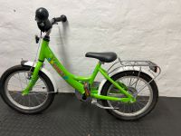 PUKI Kinderfahrrad Grün 16 Zoll  gut erhalten ❤️ Rheinland-Pfalz - Römerberg Vorschau