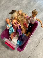 Verschiedene Barbie Puppen und Zubehör Baden-Württemberg - Ladenburg Vorschau