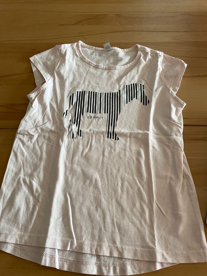 Esprit T-Shirt Gr. 128/134 Pferd Zebra im Set in Nonnweiler