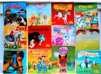 Pixi-Bücher REITEN Pferde PONYS REITER-HOF Pixis Nordrhein-Westfalen - Paderborn Vorschau