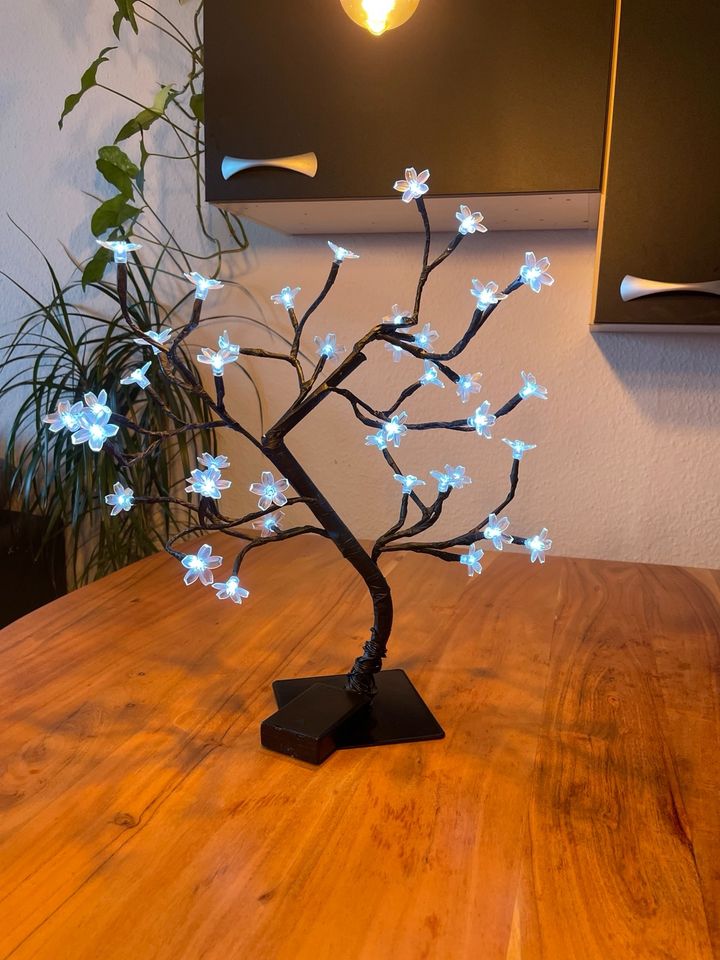 Deko LED Baum in Dresden