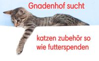 Dringend Katzen Zubehör wie futter Bayern - Babenhausen Vorschau