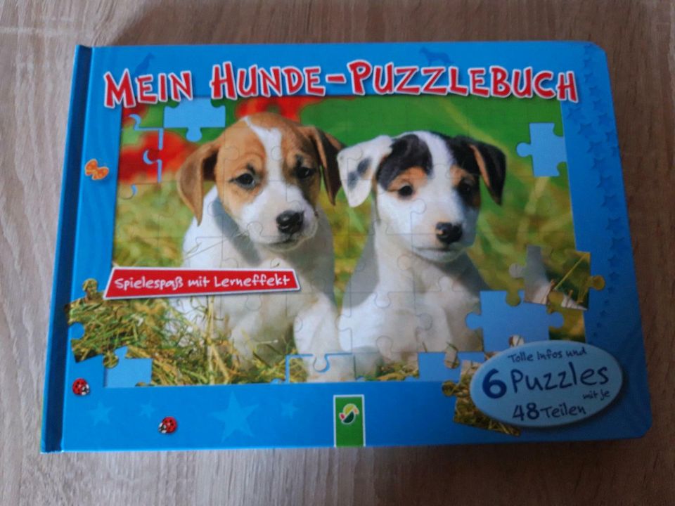 Puzzle Buch in Schöntal