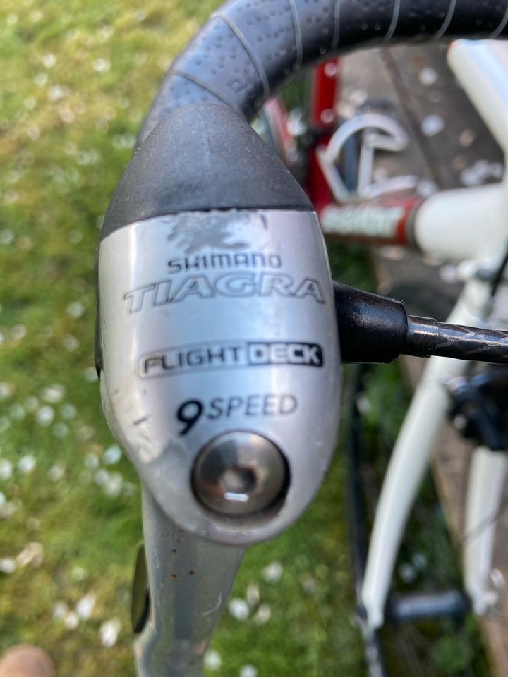 Bergamont Rennrad 51cm Größe S in Rimpar