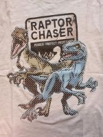 C&A T-Shirt Gr. 134 grau Velociraptoren Dinosaurier m. Noppen Baden-Württemberg - Ettlingen Vorschau