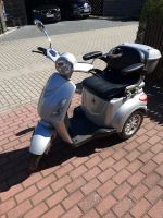 Senioren Elektromobil Scooter Brandenburg - Lübbenau (Spreewald) Vorschau