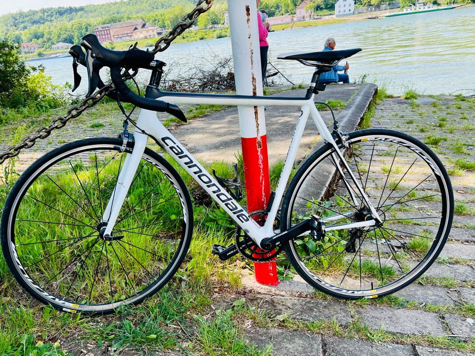 2019 Cannondale Super-Six EVO (56cm, 21-fach) Karo in Groß-Gerau