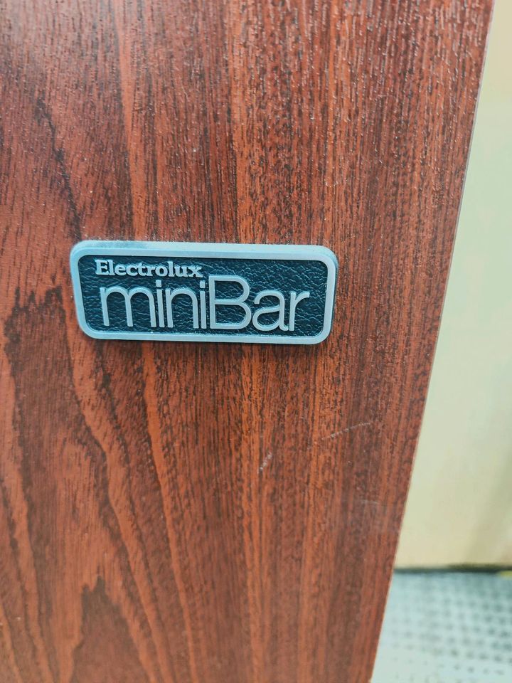 Electrolux Minibar Kühlschrank in Wawern Saar