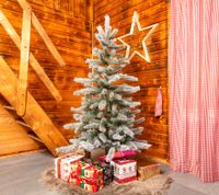 B-WARE Evergreen Künstlicher Weihnachtsbaum Cedar Frost Kiefer | Rheinland-Pfalz - Wittlich Vorschau