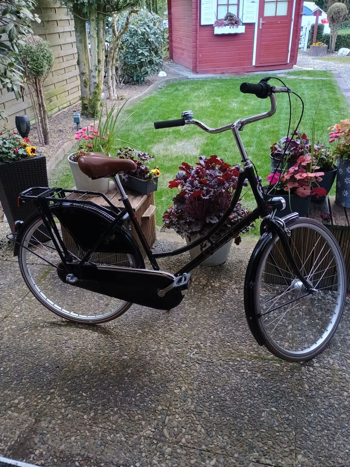 Gazelle Fahrrad Hollandrad Mädchen Bike Damenfahrrad in Dersau