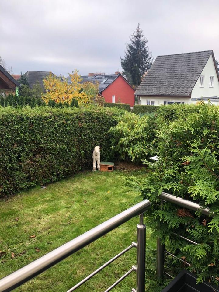 Property thumbnail 10