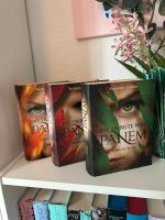 Die Tribute von Panem Trilogie Suzanne Collins Niedersachsen - Bad Rothenfelde Vorschau