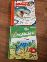 2 Dinosaurier Bücher Eimsbüttel - Hamburg Niendorf Vorschau