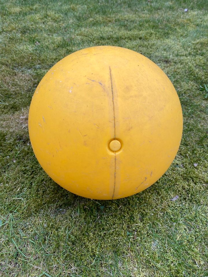 Hund Hunde Ball Treibball gelb Hartplastik in Apen