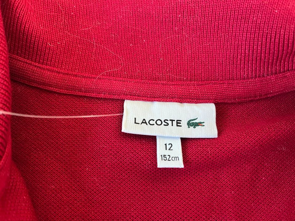 Lacoste Polohemd langärmlig Junge 152 bordeaux neu mit Etikett in München