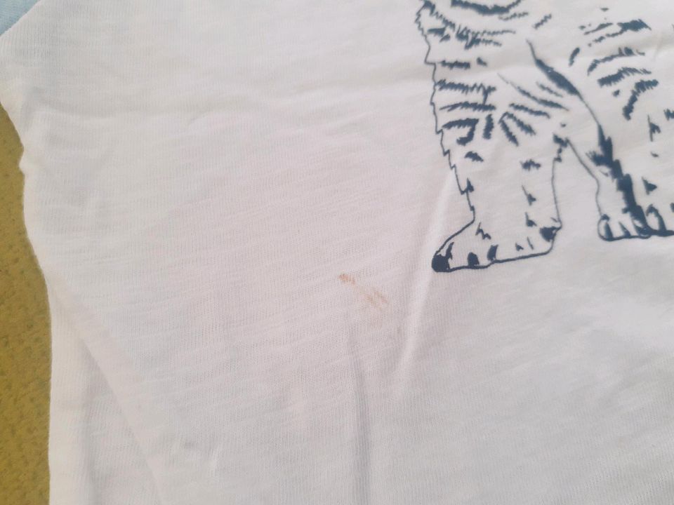 Shirt, T-Shirt von Topomini, Größe 80, Bär in Dohna