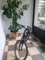 E-bike Viktoria XL Neu Essen - Essen-Stadtmitte Vorschau