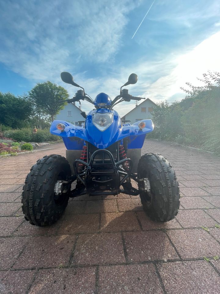 Kymco Quad KXR 250 Sport in Kolbingen