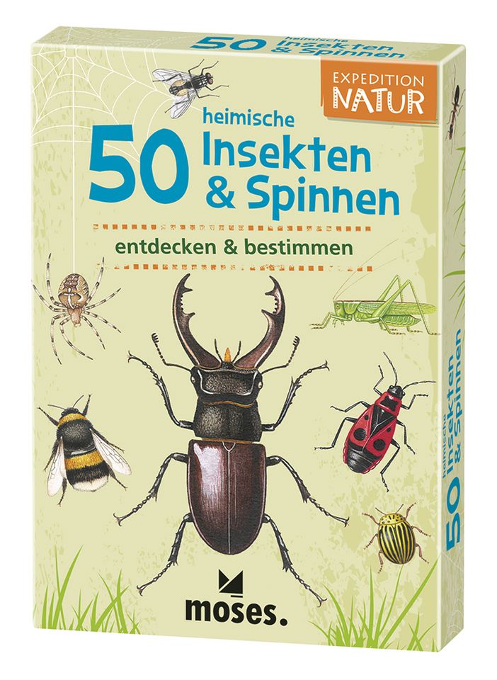 50 heimische Insekten Spinnen Expedition Moses Lernspiel 9723 in Salgen