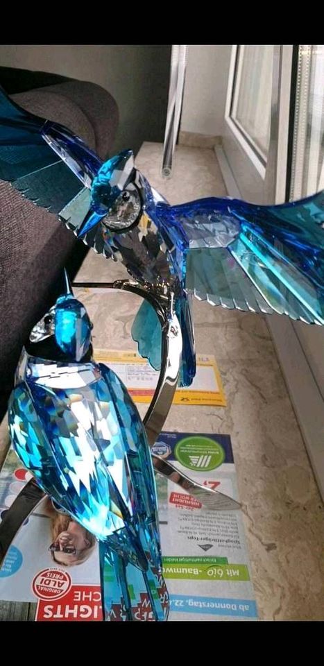 Swarovski Figur Blauhäher Vogel Kristallfigur Dekofigur Sammler in Hückelhoven