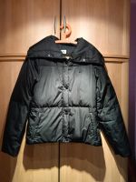 Lacoste Damen Jacke Daunenjacke 42 Dresden - Briesnitz Vorschau