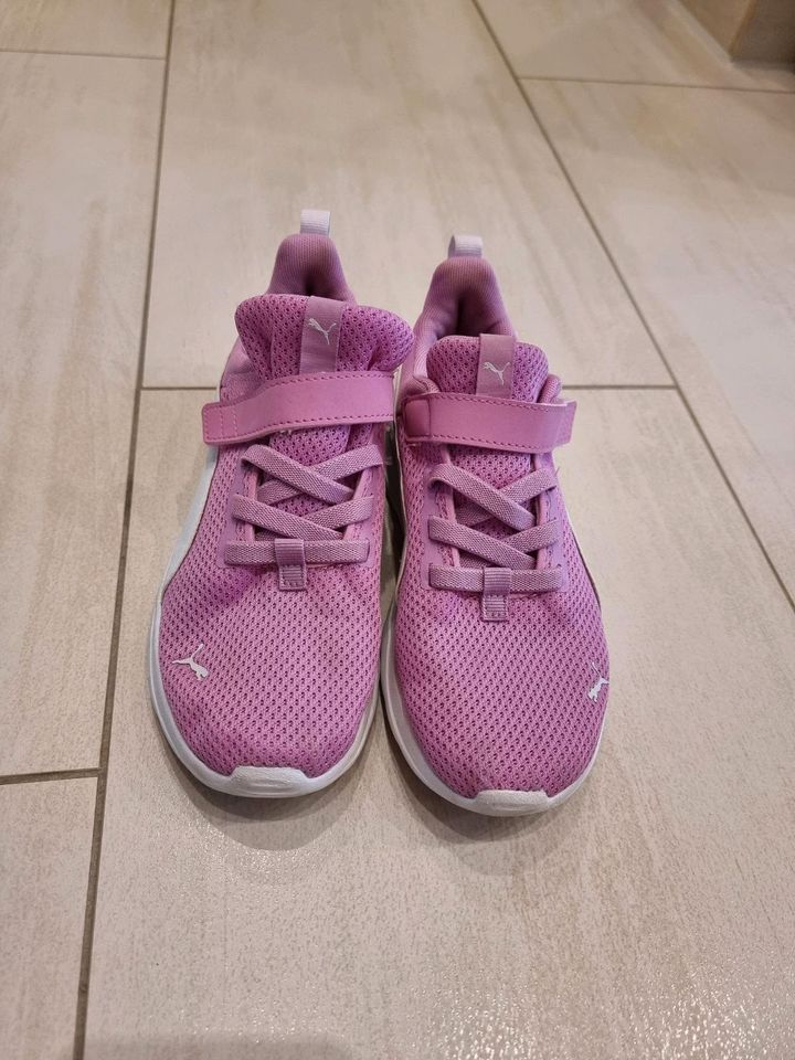 Puma Mädchen Sneaker Größe 33 in Tostedt