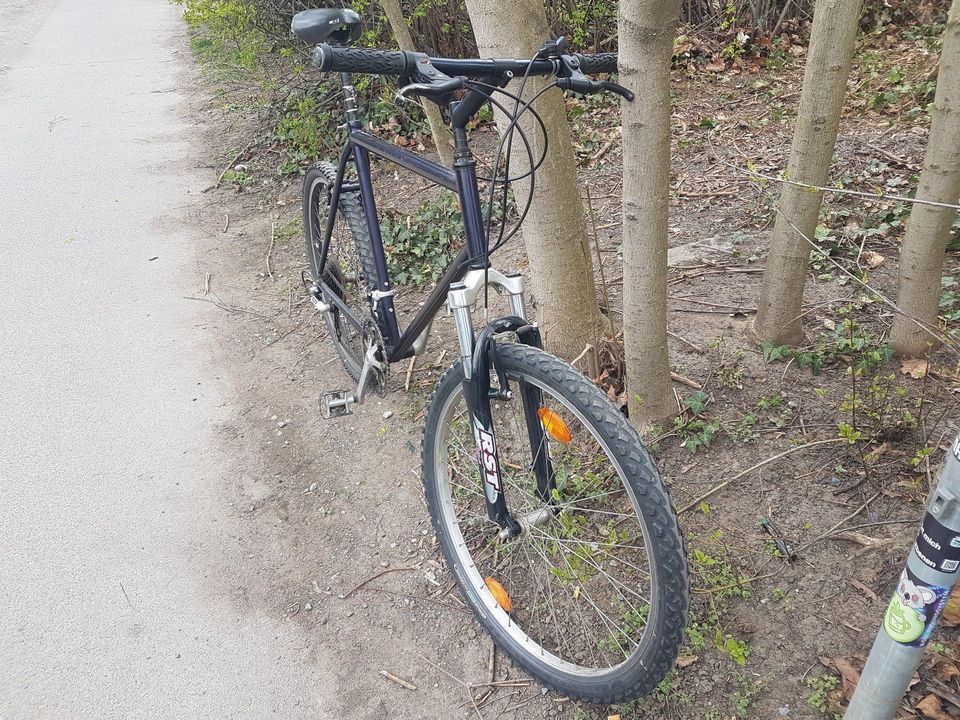 Fahrrad Mountainbike in Dresden