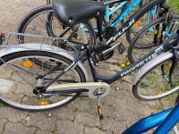 Fahrrad Citybike Prophete Baden-Württemberg - Weisweil Vorschau