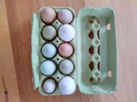 bunte Bio-Eier von verrückten Hühnern Niedersachsen - Hellwege Vorschau