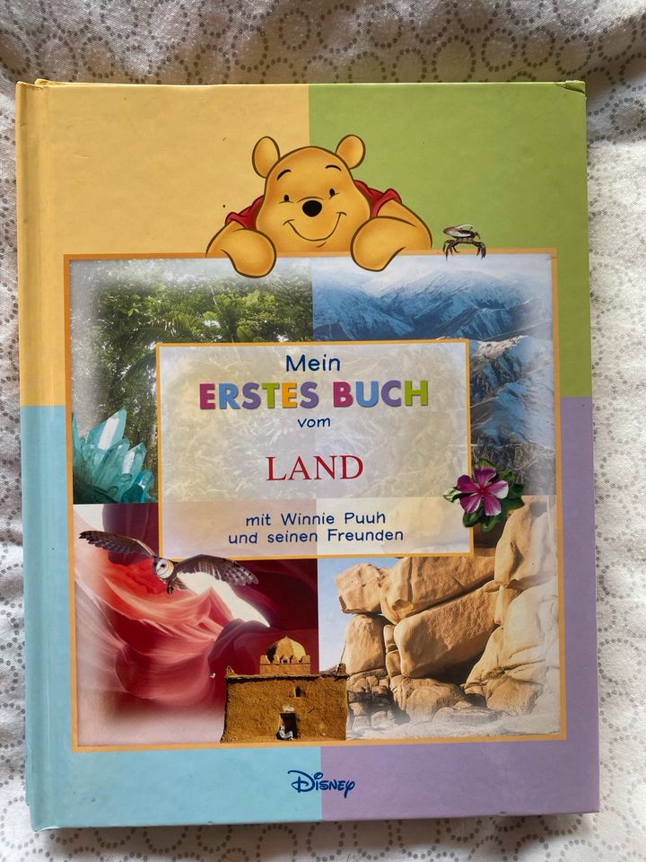 Kinderbücher „Mein erstes Buch…“ Disney in Diez