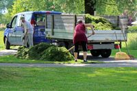 Alles rund um den Baum - Pflanzen, Pflegen, Gießen Brandenburg - Bernau Vorschau