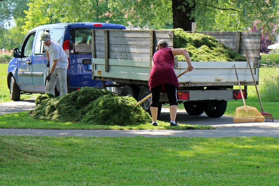 Alles rund um den Baum - Pflanzen, Pflegen, Gießen in Bernau