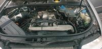 Motor AKE Audi A4 2.5 TDI 180 PS Quattro Mod  01- 24 Schlachtfest Hessen - Fuldatal Vorschau