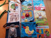 Kinderbücher (ab 9 Monaten) Hessen - Lollar Vorschau