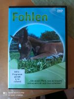 DVD Fohlen - Pferde Niedersachsen - Cremlingen Vorschau